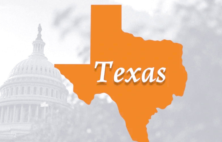 Comprehensive Guide to Starting a Pushcart Street Food Vendor Business in Texas, USA